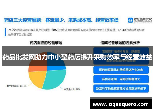 药品批发网助力中小型药店提升采购效率与经营效益